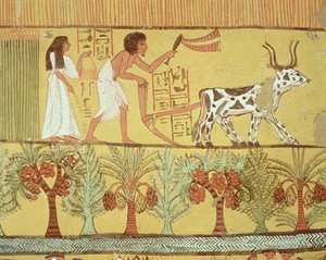 Sennedjem és felesége a szántóföldeken vetés és talajművelés, Sennedjem sírjából, The Workers Village, New Kingdom (falfestmény)